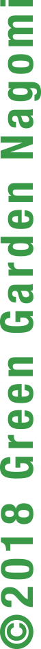 copyright Leonidas Inc.